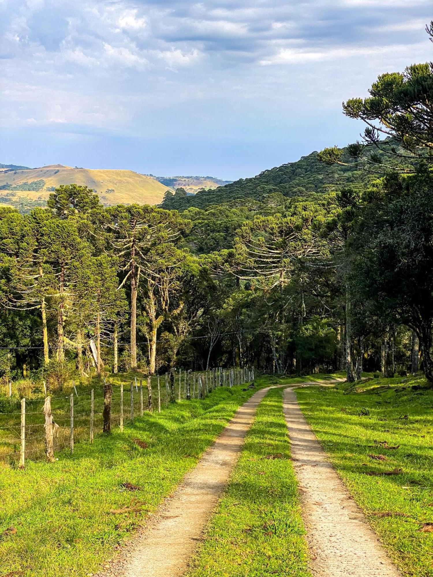 Recanto Do Vale - Gralha Azul
